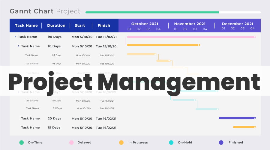 Project Management Software Development