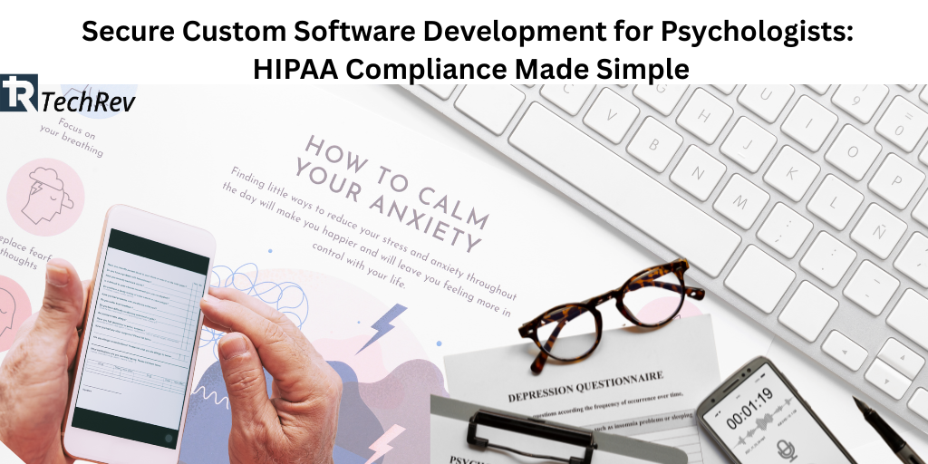 custom software development