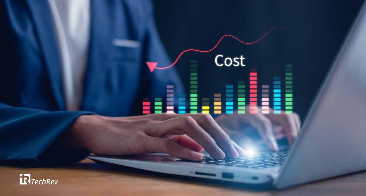 The Investment How Much Does It Cost to Build A Social Media App like MeWe (1)