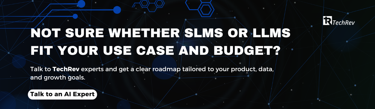 Not sure whether SLMs or LLMs fit your use case and budget (1)